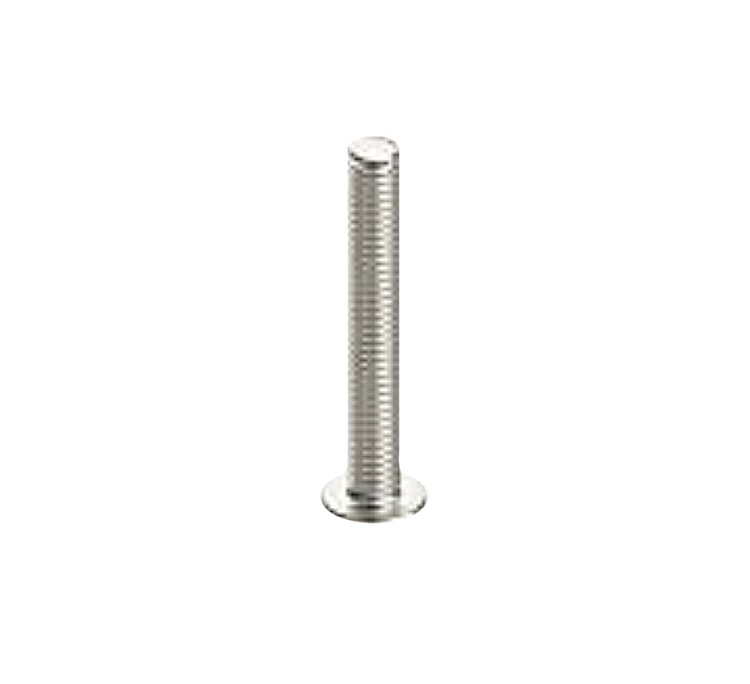 Screws & Bolts