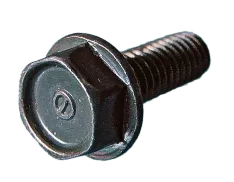 Screws & Bolts