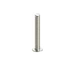Screws & Bolts