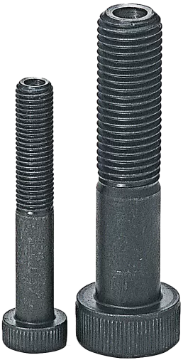 Screws & Bolts